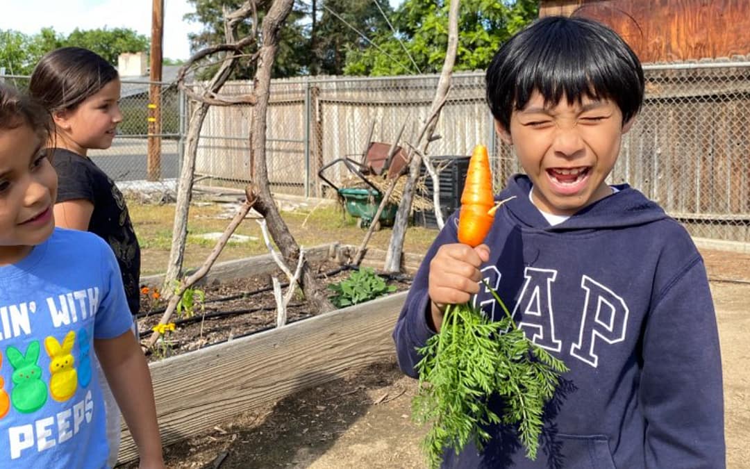 Creative Ways Fresno Community Members are Making their Neighborhoods Healthier