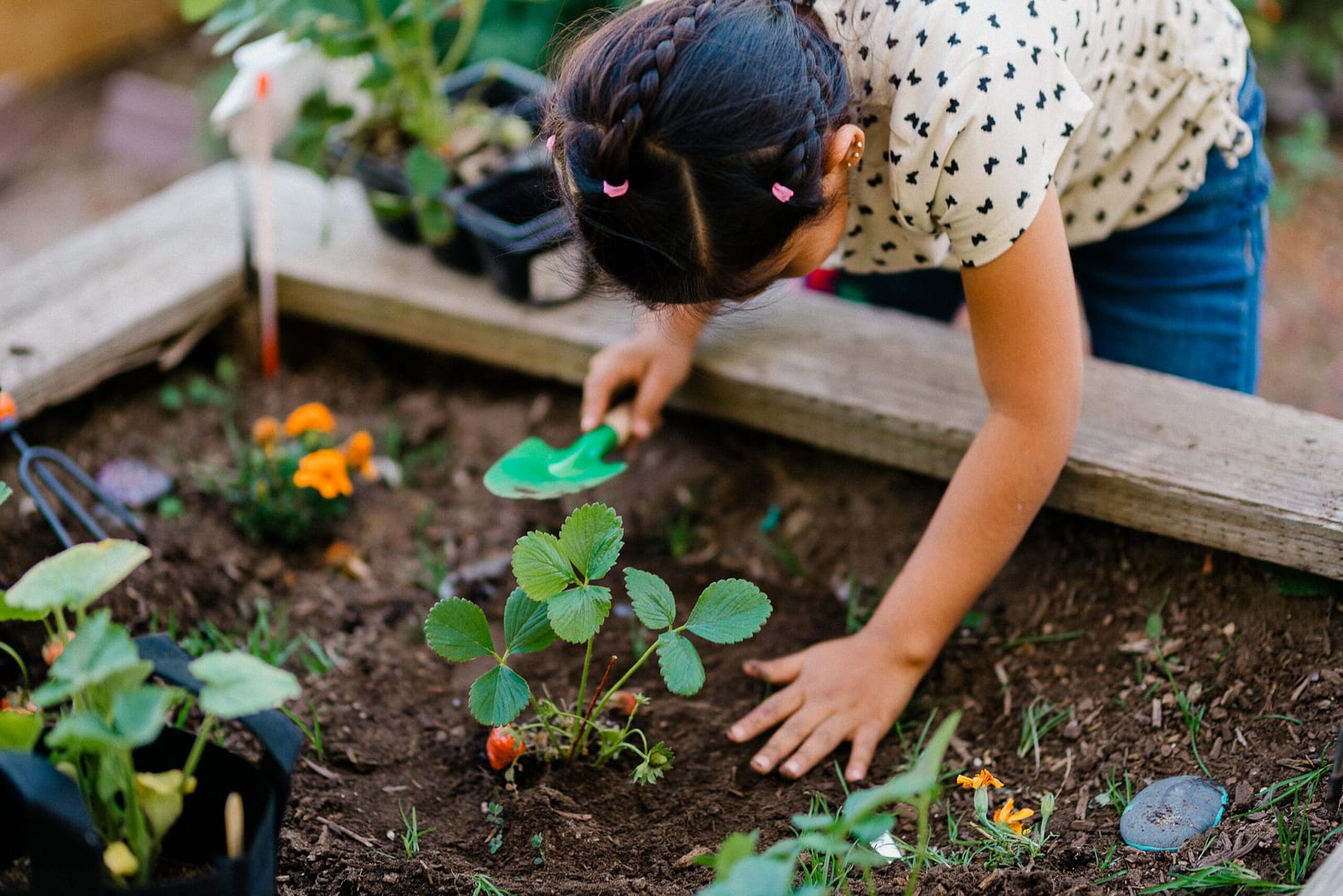 enp-garden_pickup_42